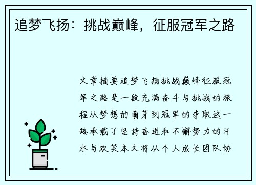 追梦飞扬：挑战巅峰，征服冠军之路